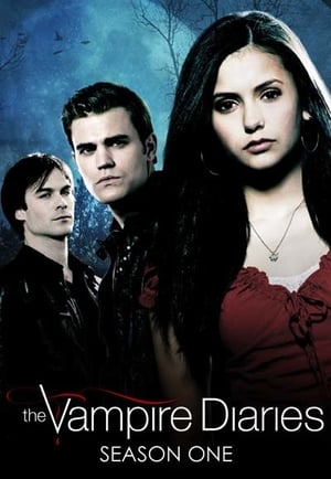 the vampire diaries streaming eng